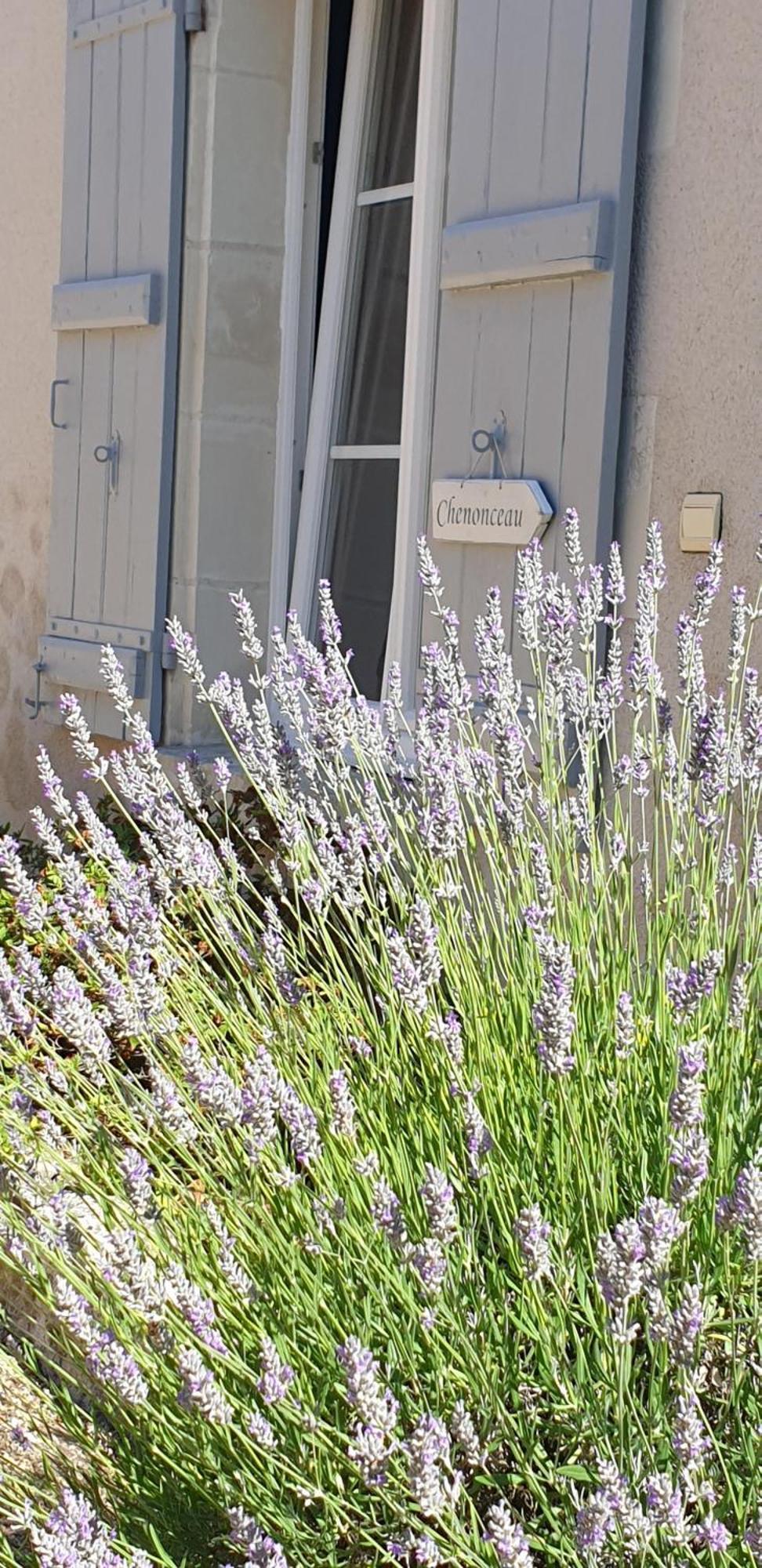 Le Clos De La Rousseliere Francueil Quarto foto